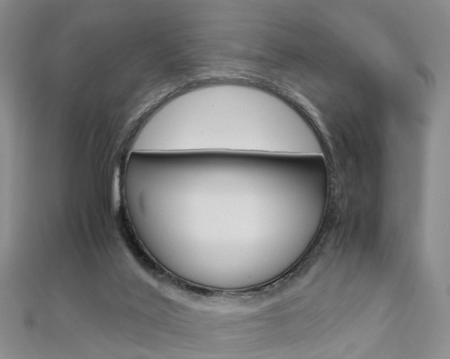 X0000112880020200908211101