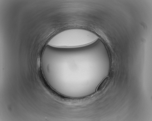 X0000112880021200908211101