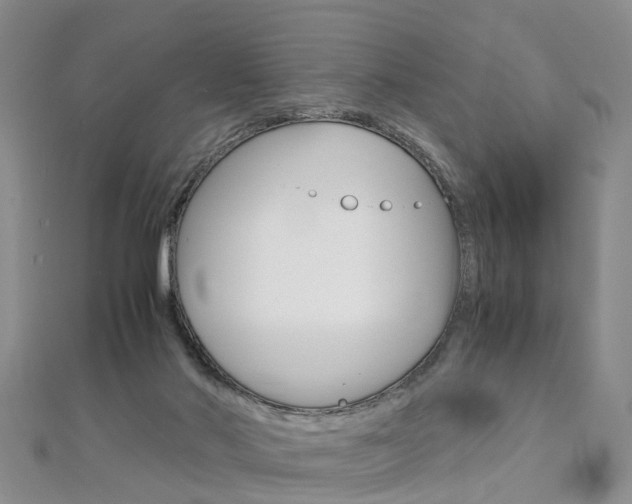 X0000112880022200908211101