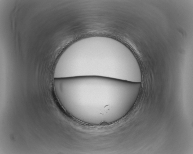 X0000112880023200908211101