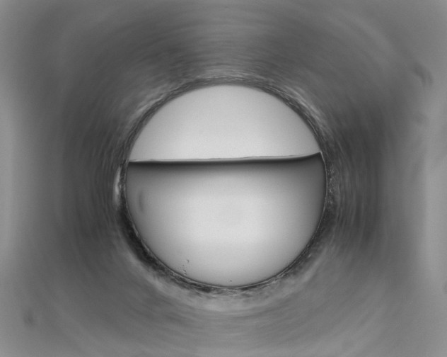 X0000112880024200908211101