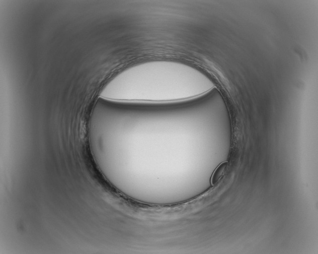 X0000112880025200908211101