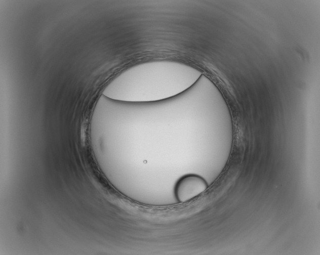 X0000112880026200908211101