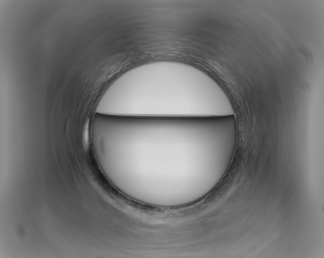 X0000112880028200908211101