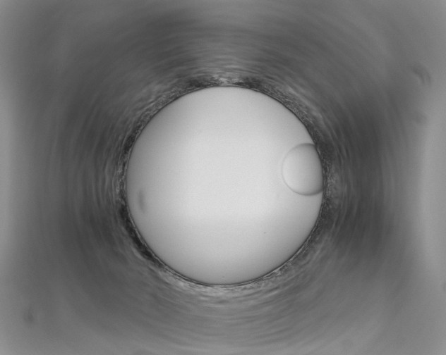 X0000112880030200908211101