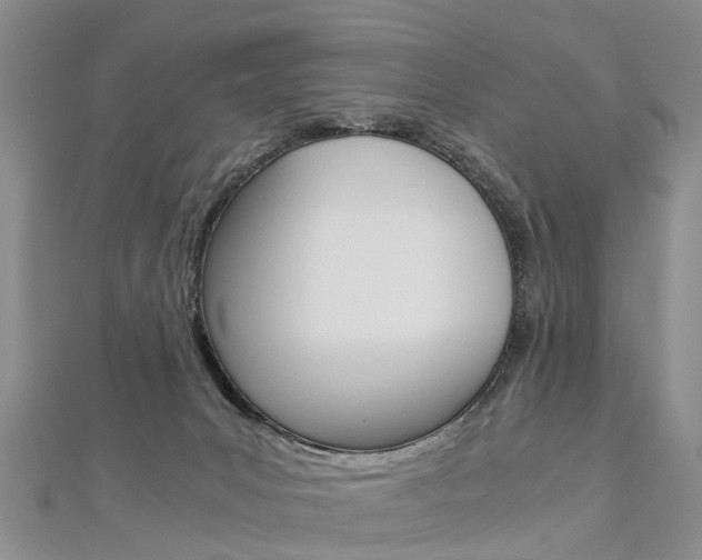 X0000112880031200908211101