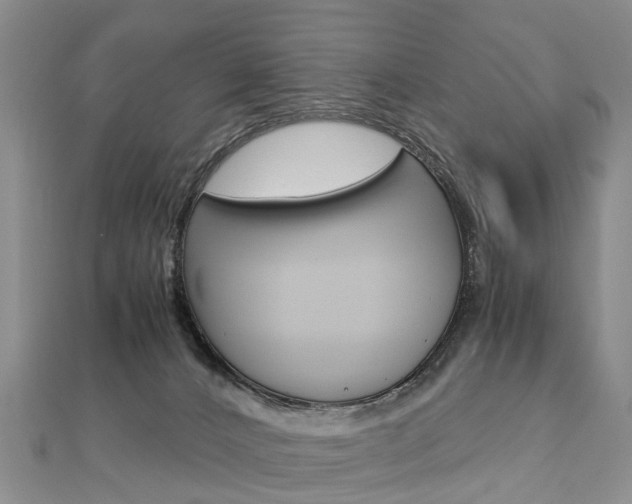 X0000112880032200908211101