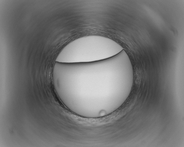 X0000112880034200908211101