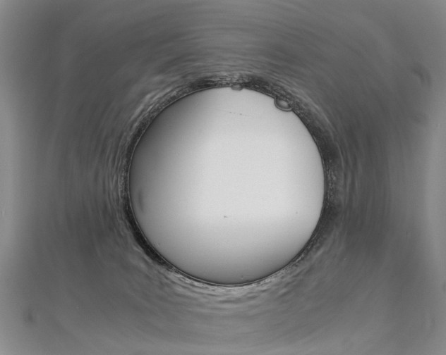 X0000112880035200908211101