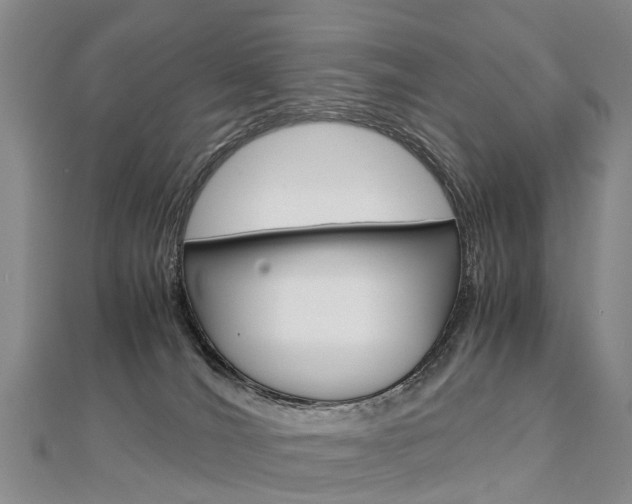 X0000112880036200908211101