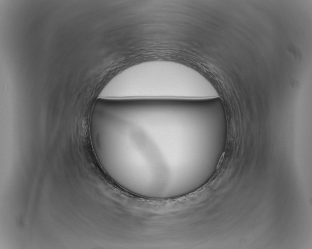 X0000112880037200908211101