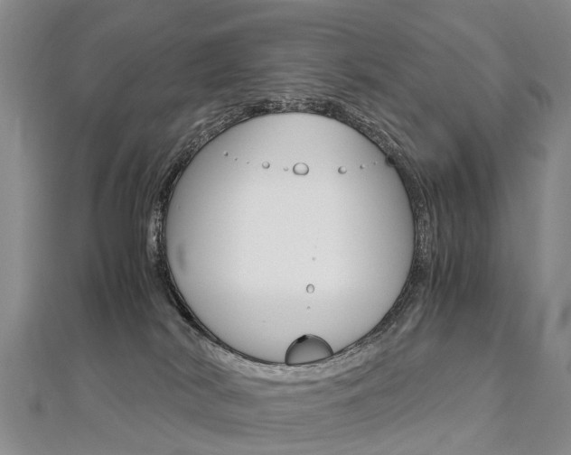 X0000112880038200908211101