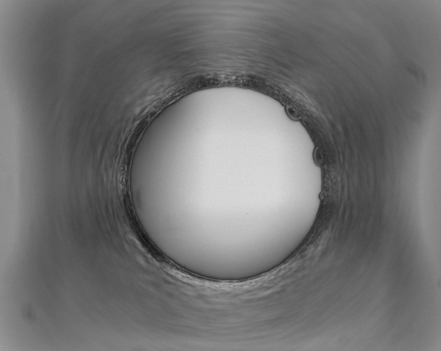 X0000112880039200908211101