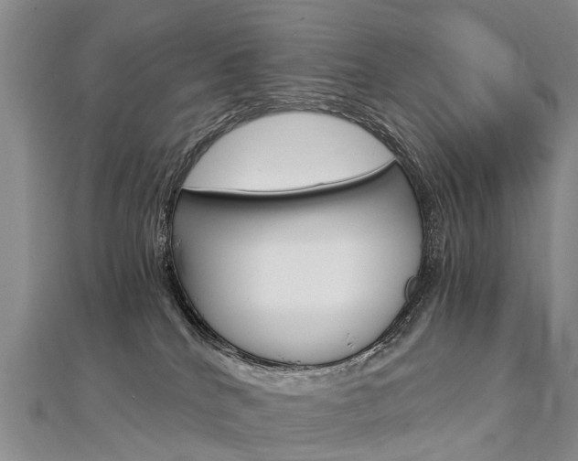 X0000112880040200908211101