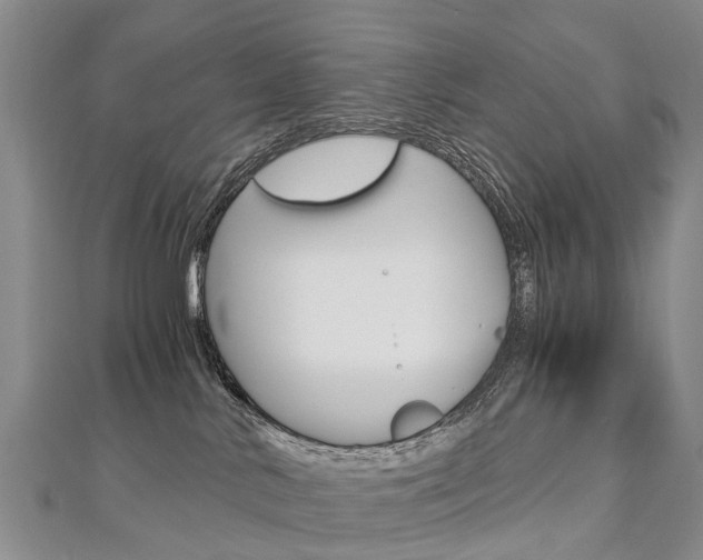 X0000112880042200908211101