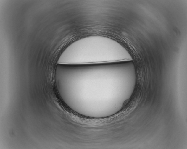 X0000112880044200908211101