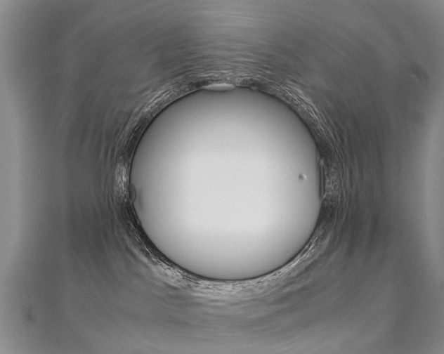 X0000112880045200908211101