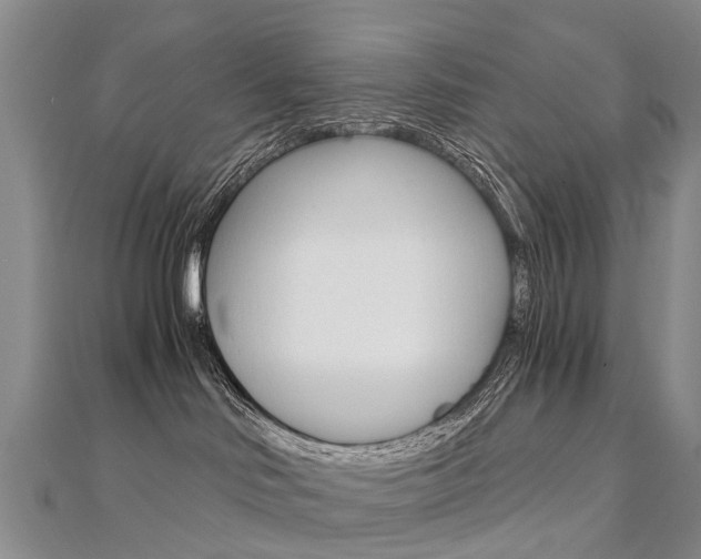 X0000112880046200908211101