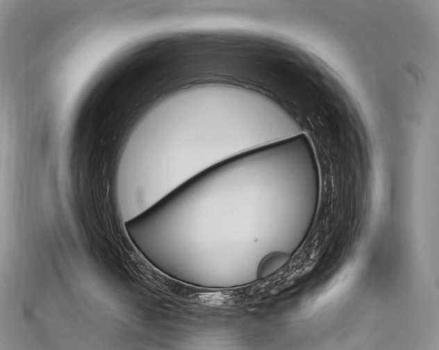 X0000112880050200908211100