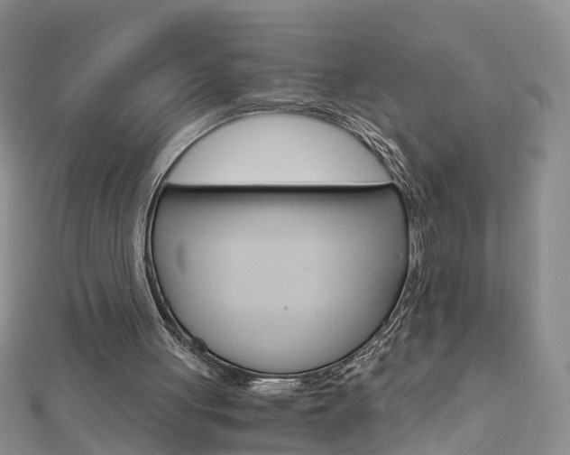 X0000112880051200908211100