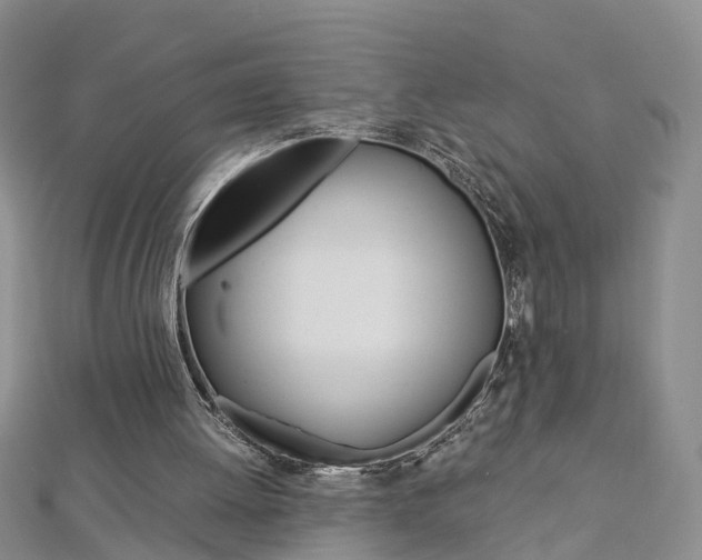 X0000112880052200908211100