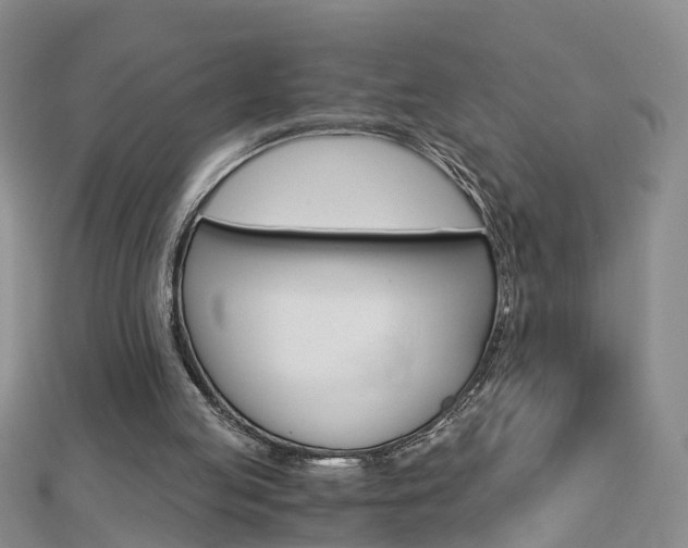 X0000112880053200908211101