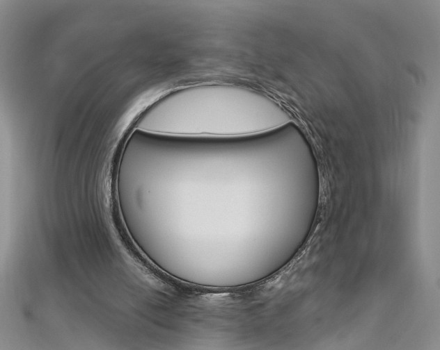 X0000112880054200908211101