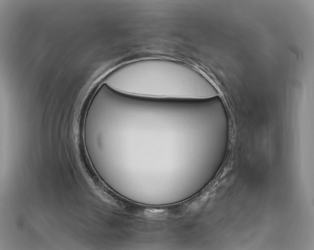 X0000112880055200908211101