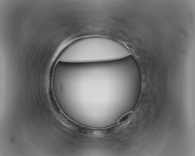 X0000112880056200908211101