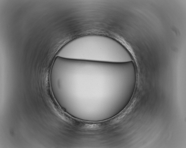 X0000112880057200908211101