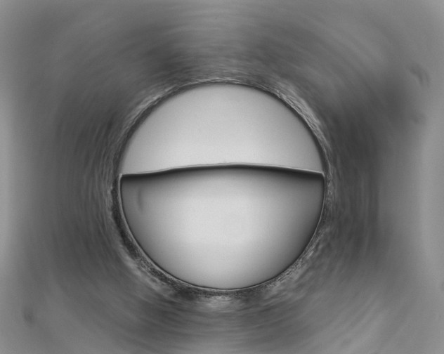 X0000112880058200908211101