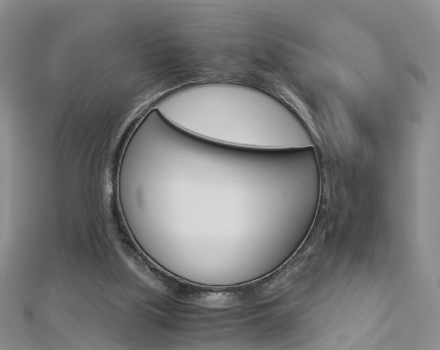 X0000112880059200908211101