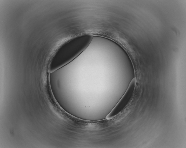 X0000112880060200908211101