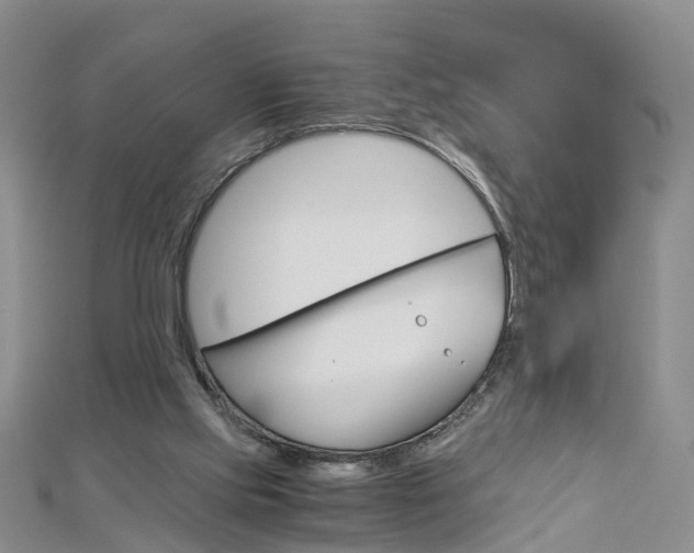 X0000112880061200908211101