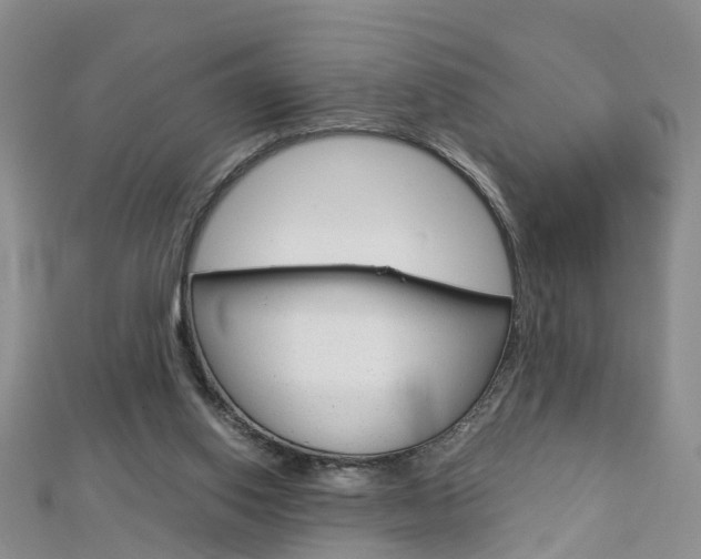 X0000112880062200908211101