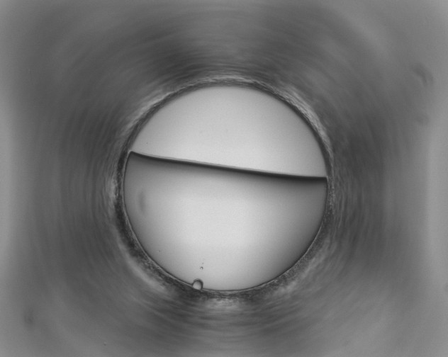 X0000112880063200908211101