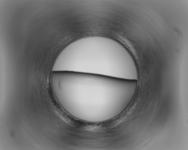 X0000112880065200908211101