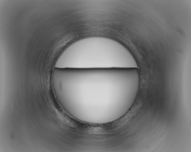 X0000112880066200908211101