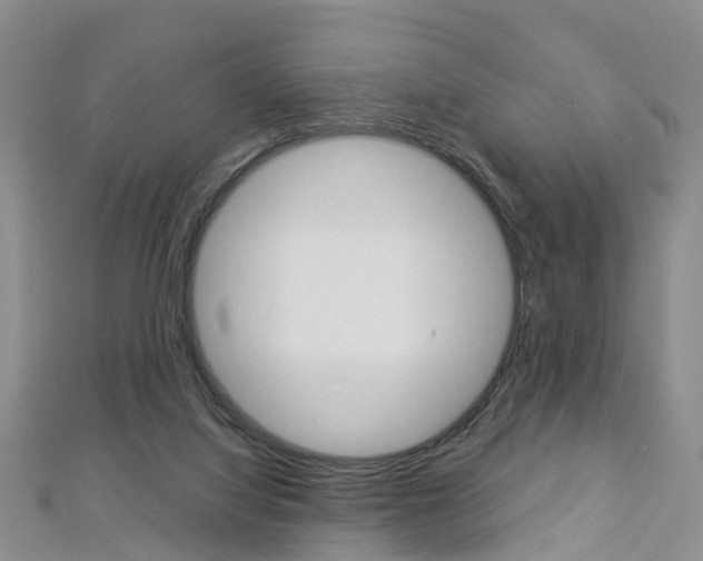 X0000112880068200908211101