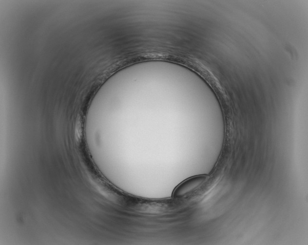 X0000112880069200908211101