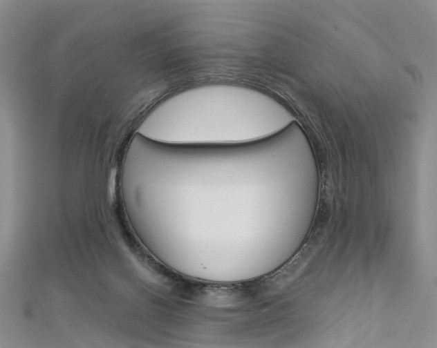 X0000112880070200908211101