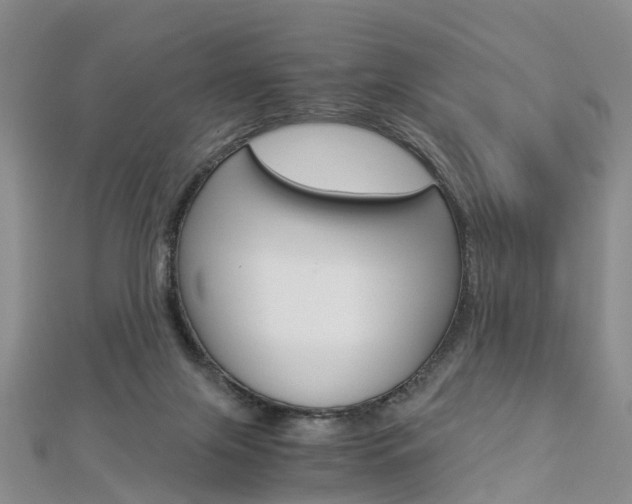 X0000112880071200908211101