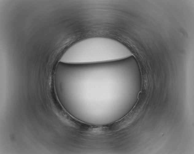 X0000112880072200908211101