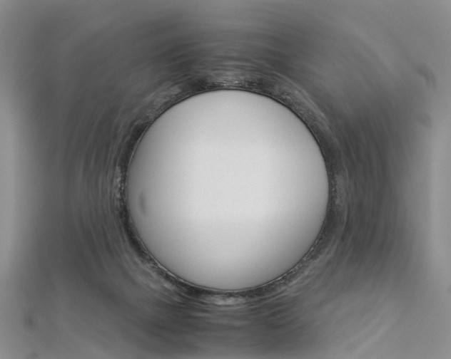 X0000112880073200908211101