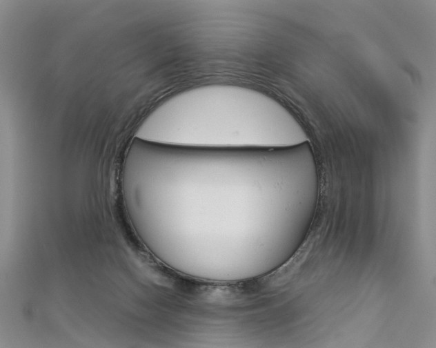 X0000112880074200908211101