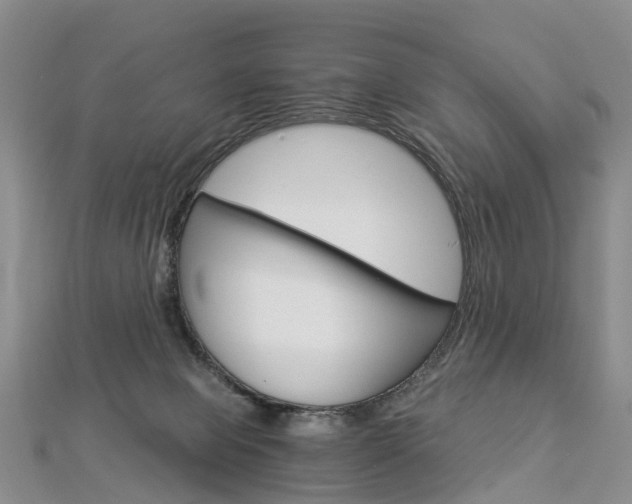 X0000112880077200908211101