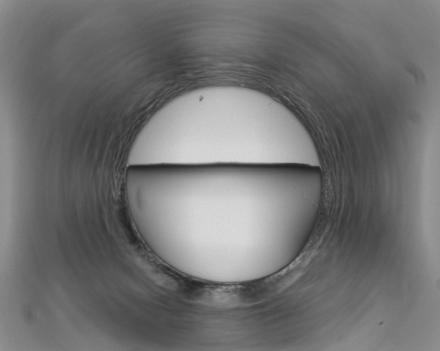 X0000112880078200908211101