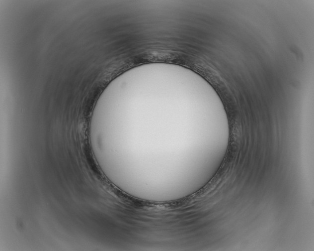 X0000112880079200908211101