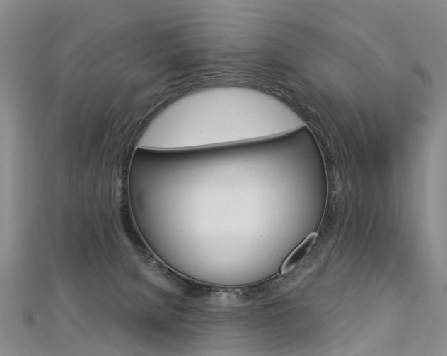 X0000112880080200908211101