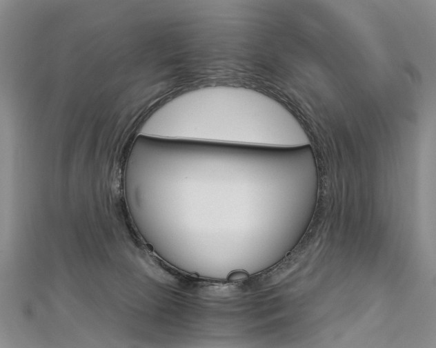 X0000112880081200908211101